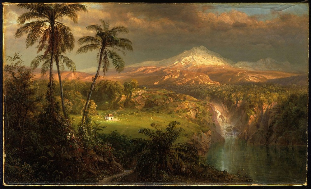 Passing Shower in the Tropics