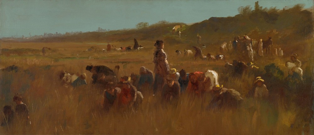 Cranberry Pickers, Nantucket (circa 1879)