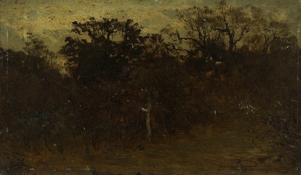 Coin de forêt
