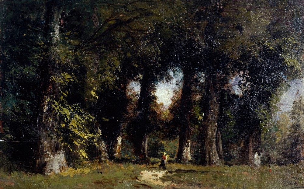 Lisière de forêt