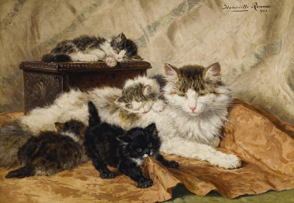 A Mother And Her Kittens