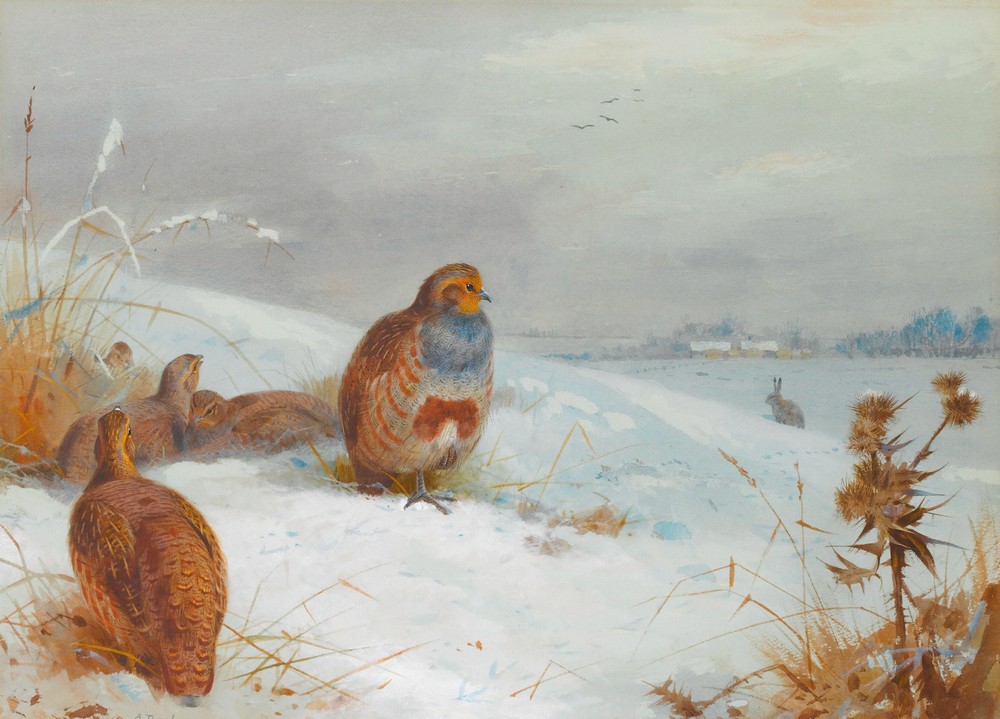 Hard Times – Partridges And A Hare