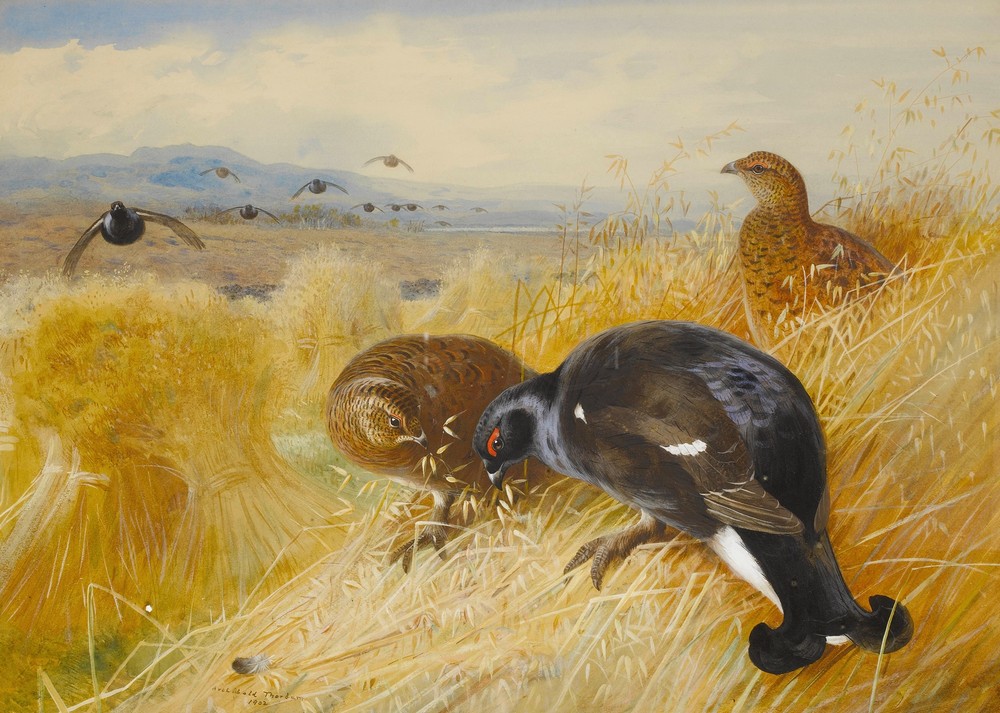 On The Stooks,Blackgame