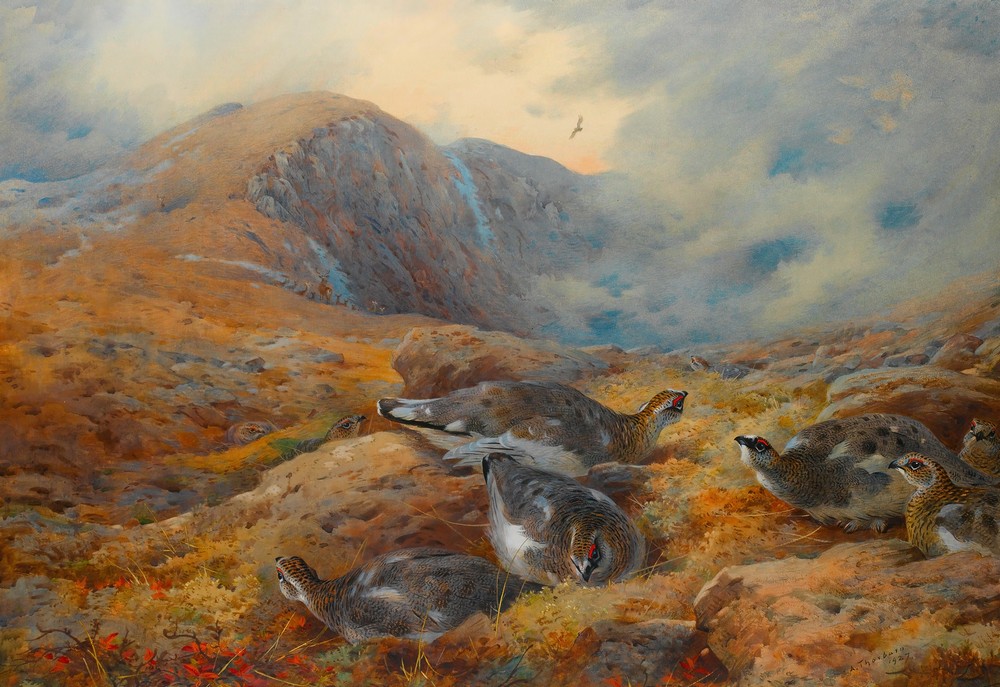 Danger Aloft – Ptarmigan
