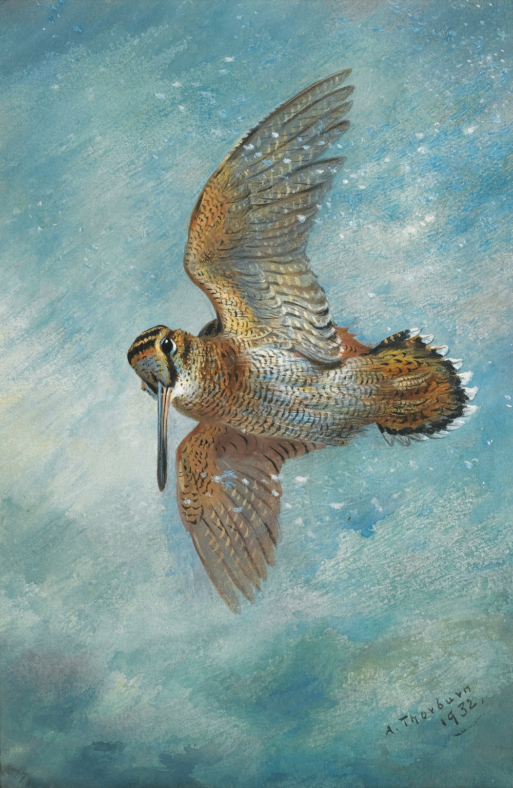 Caught In A Blizzard, Woodcock