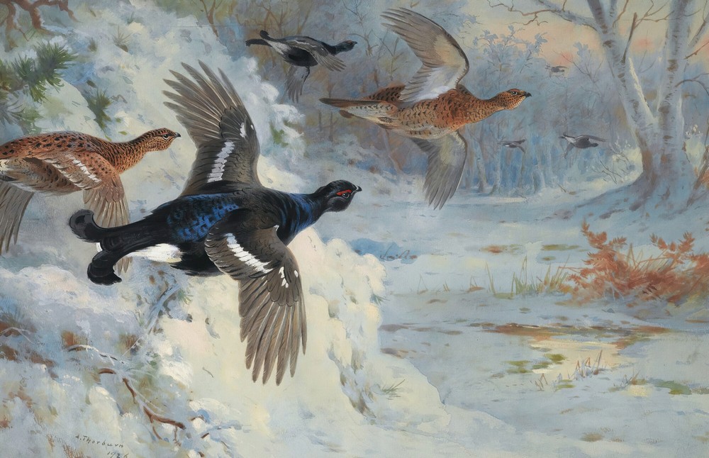 Through The Snowy Coverts-Blackgame