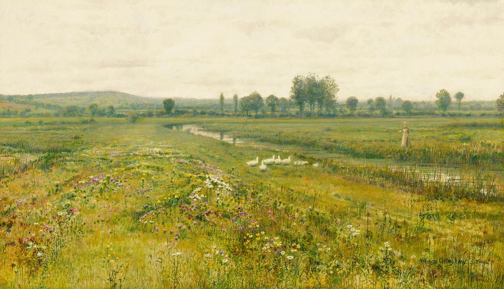 An extensive meadow landscape with geese by a stream