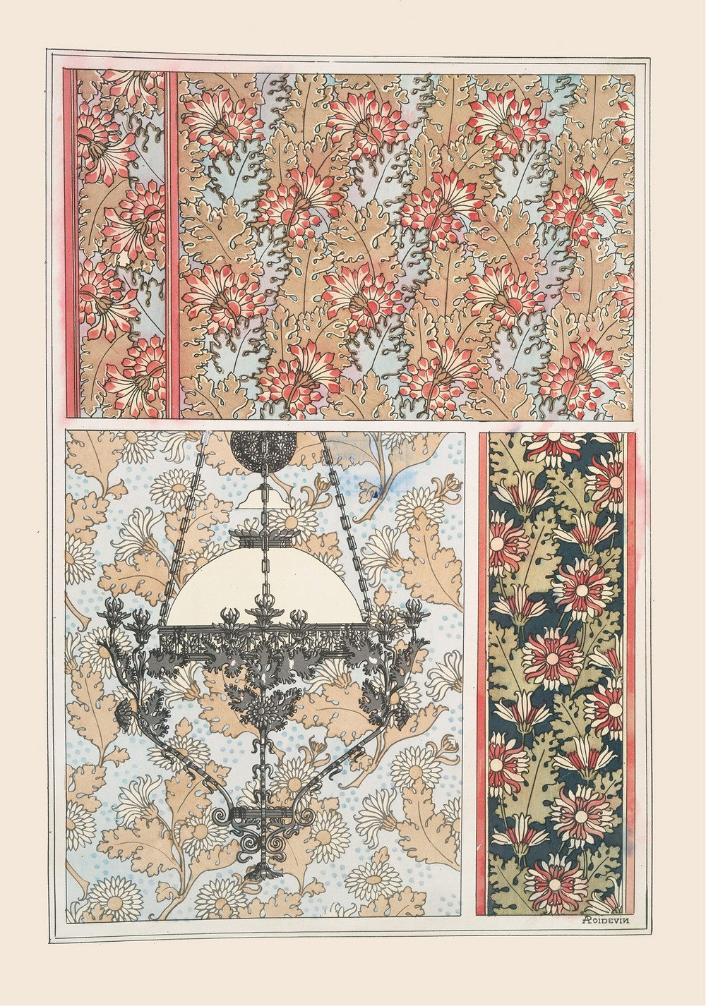 Chrysanthème 3
