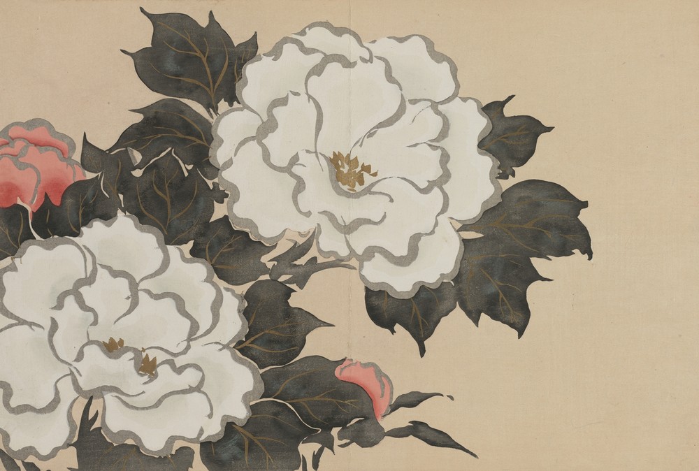 Peonies (Fukamigusa)