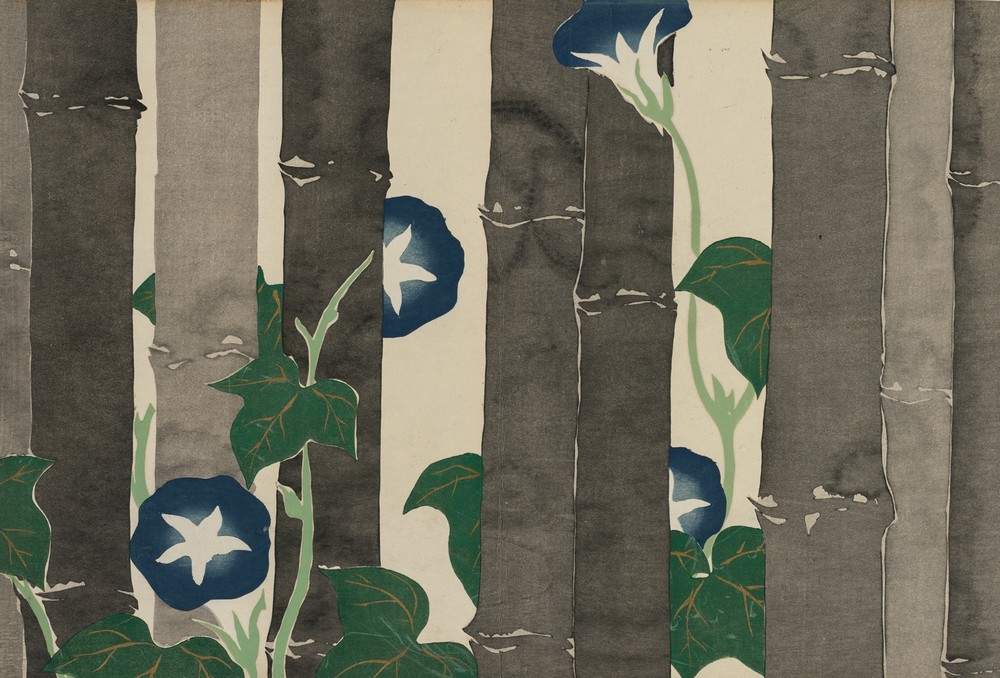 Morning Glories (Asagao)
