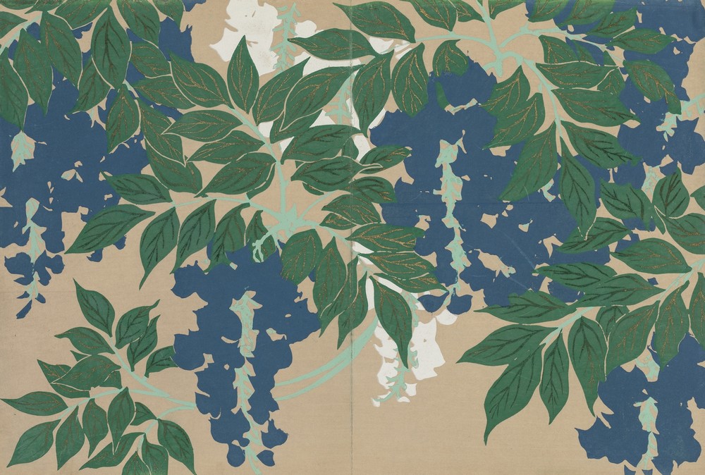 Wisteria (Fuji)