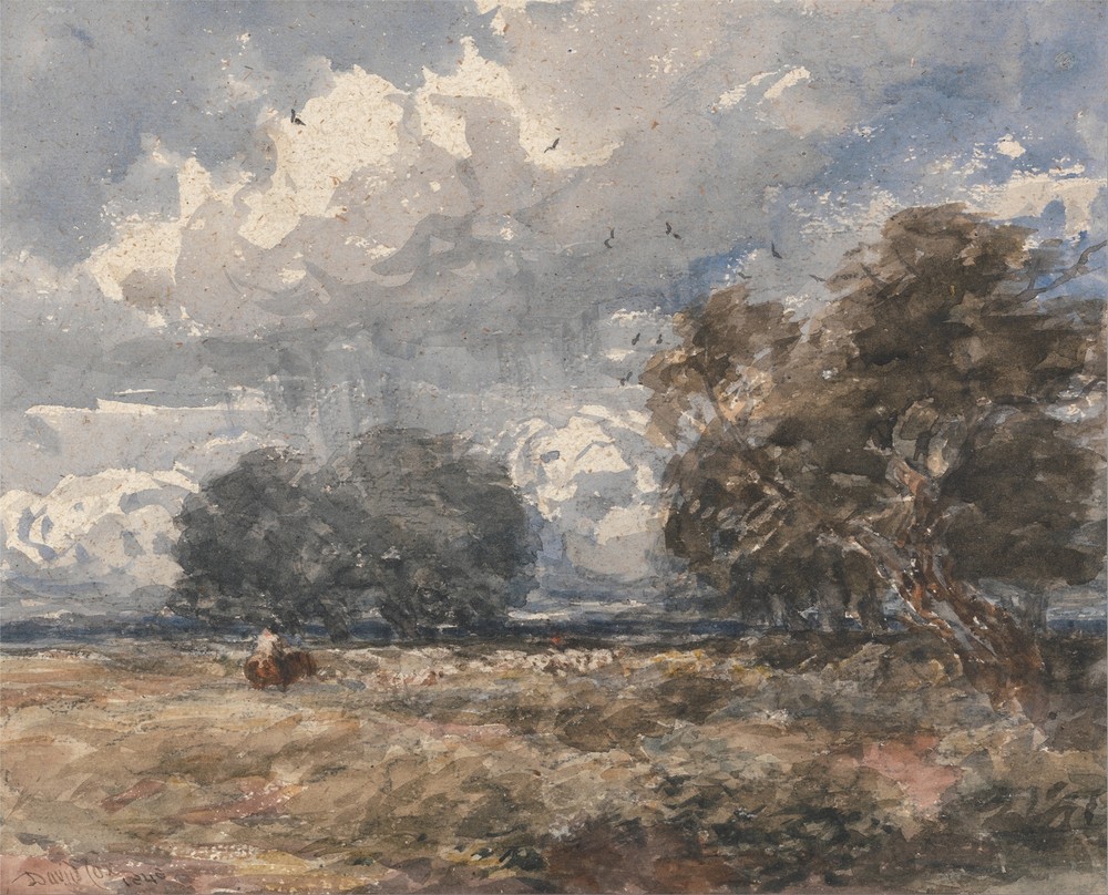 Shepherding the Flock, Windy Day