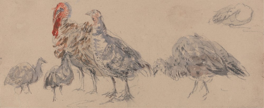 Study of Turkeys (1840s)
