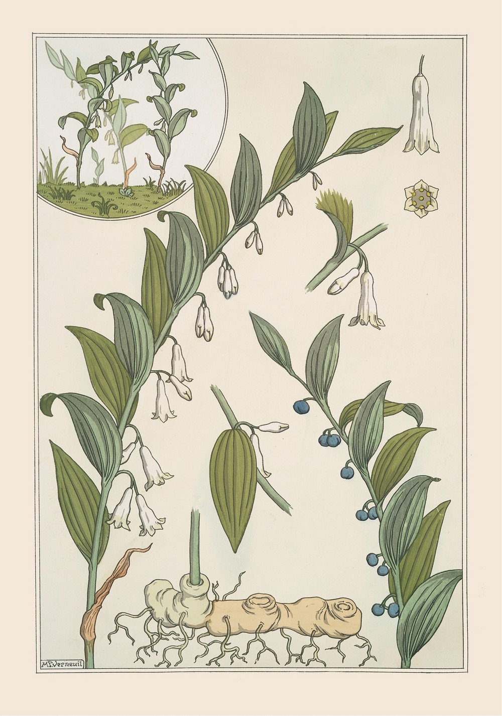 Sceau de Salomon