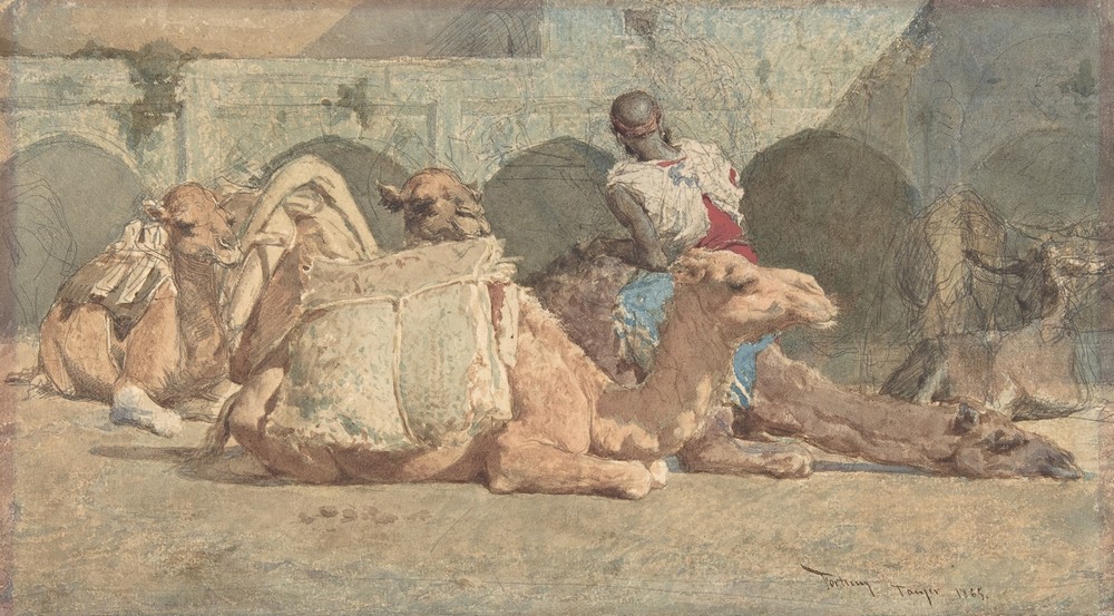 Camels Reposing, Tangiers (1838–74)