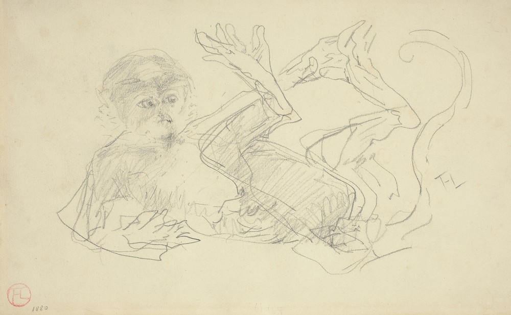 A Monkey Playing on His Back