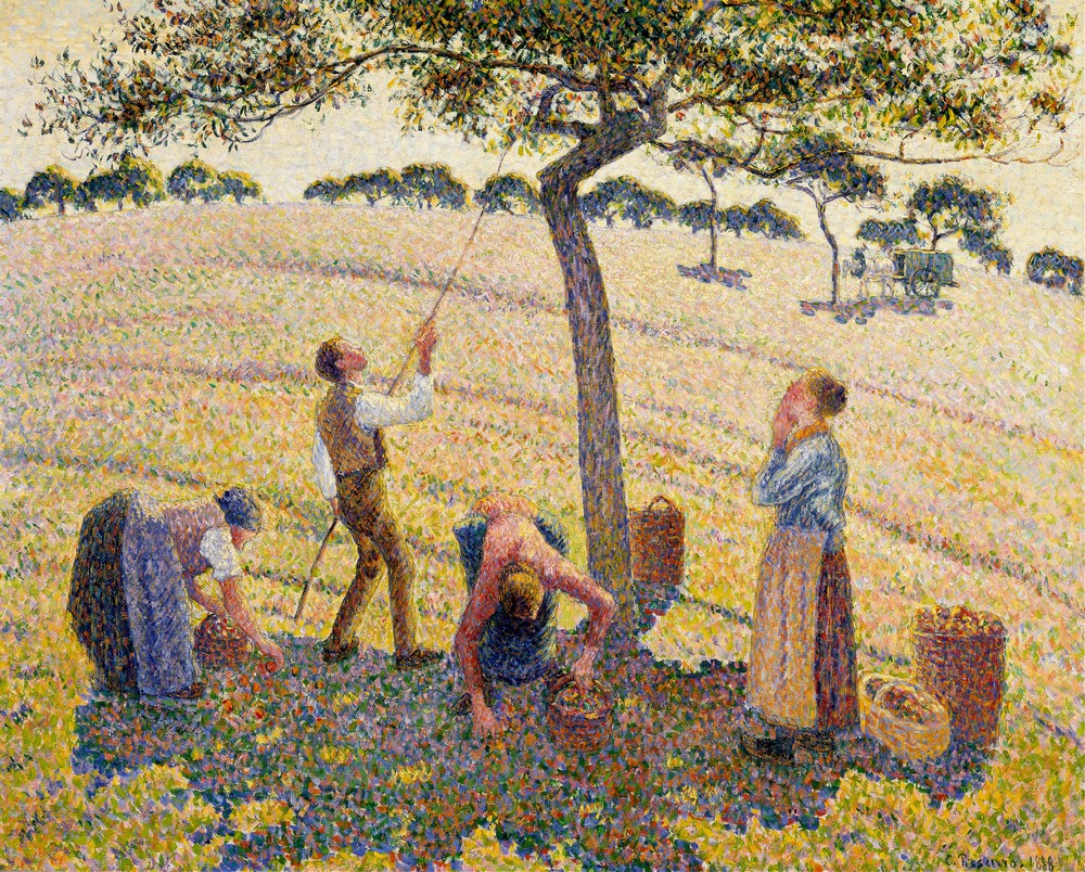 Apple Harvest