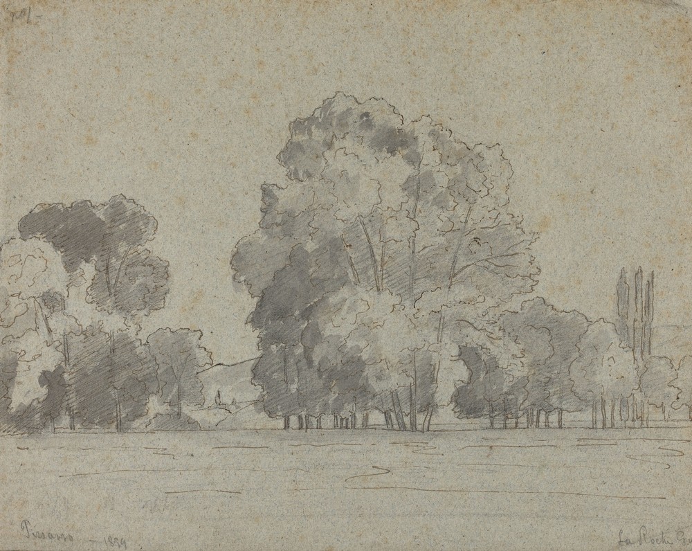 Grove of Trees