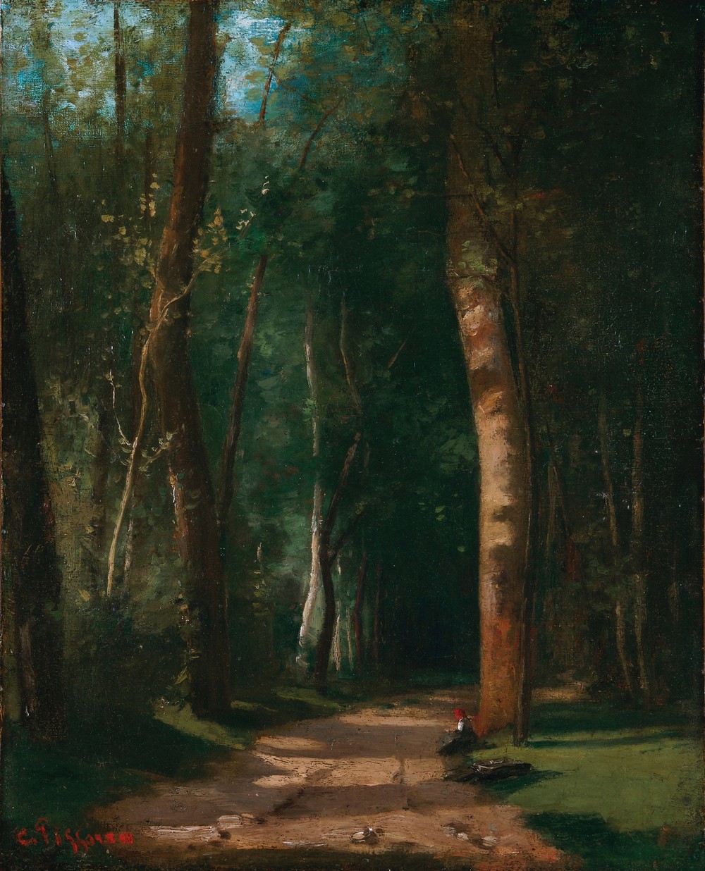 Allée Dans Une Fôret