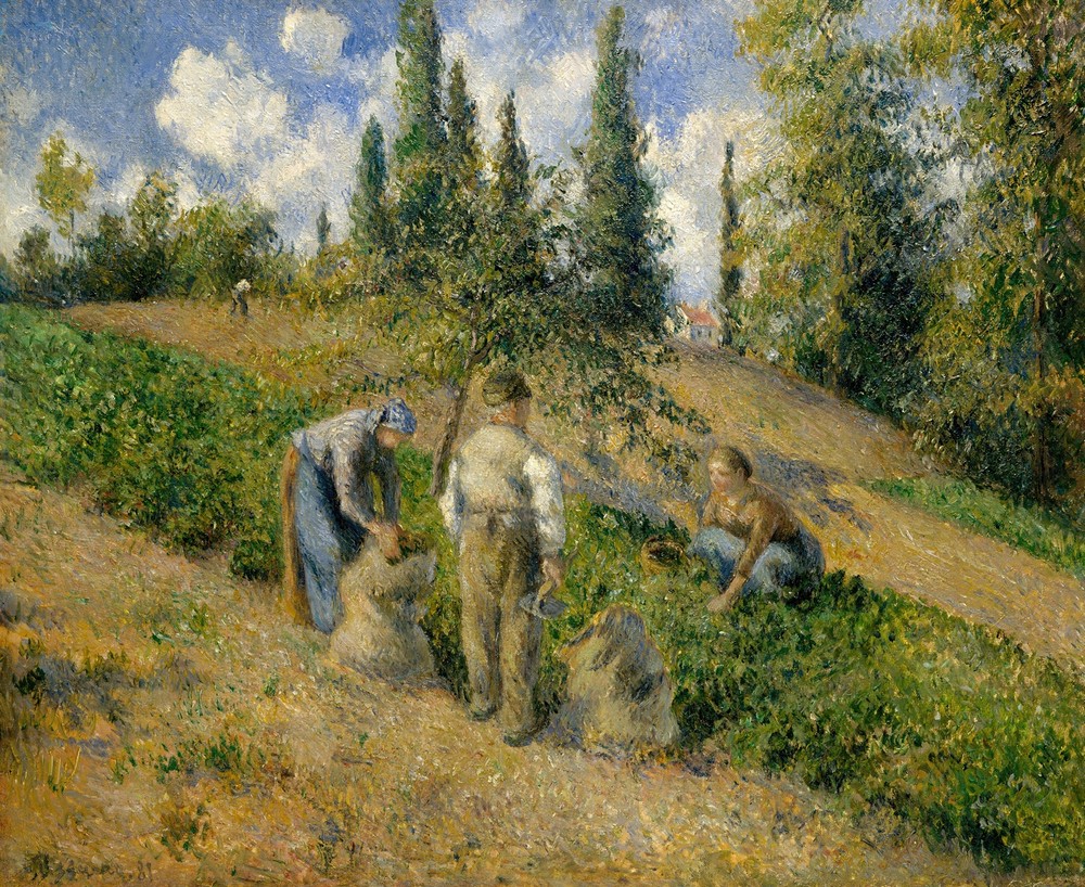 The Harvest, Pontoise (La Récolte, Pontoise)