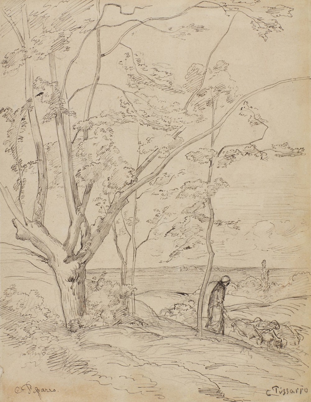 Paysage