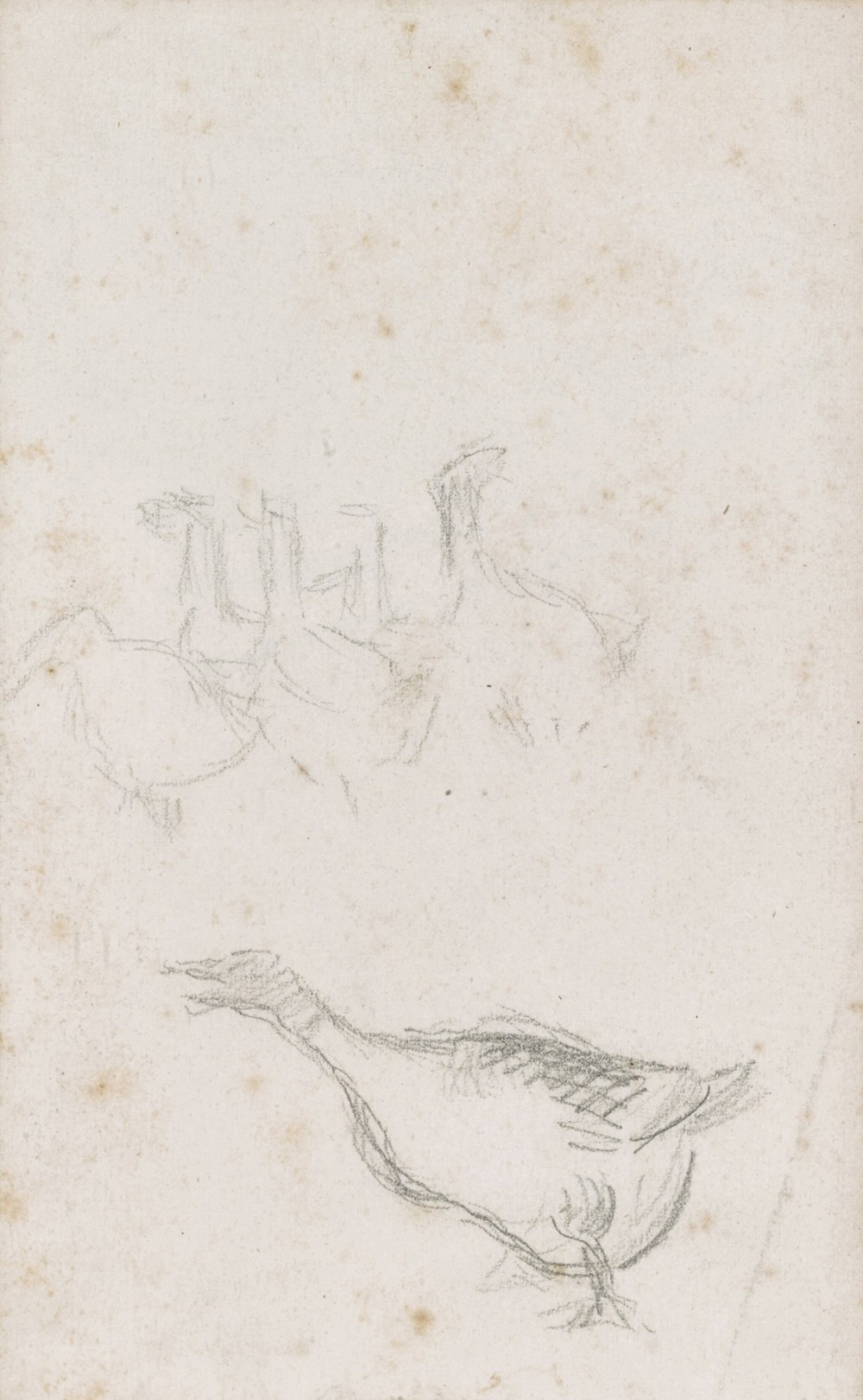 Etude d’oies (1870s)