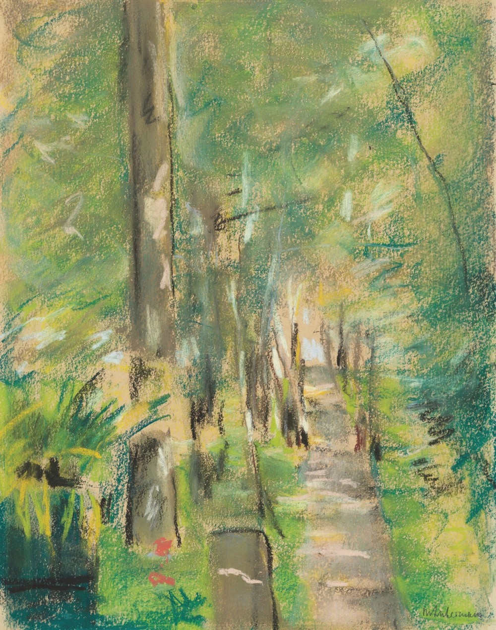 Birkenallee im Wannseegarten (circa 1918)