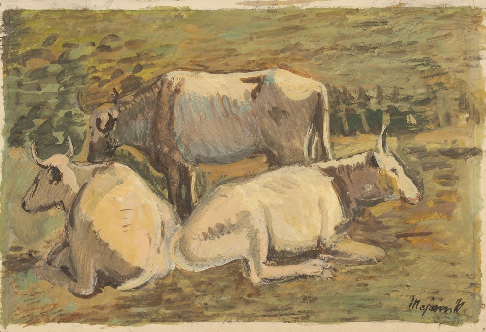 Cows