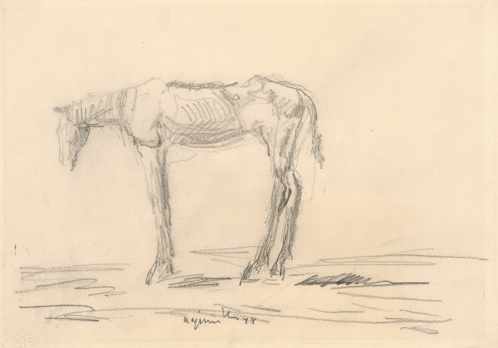 Emaciated Horse