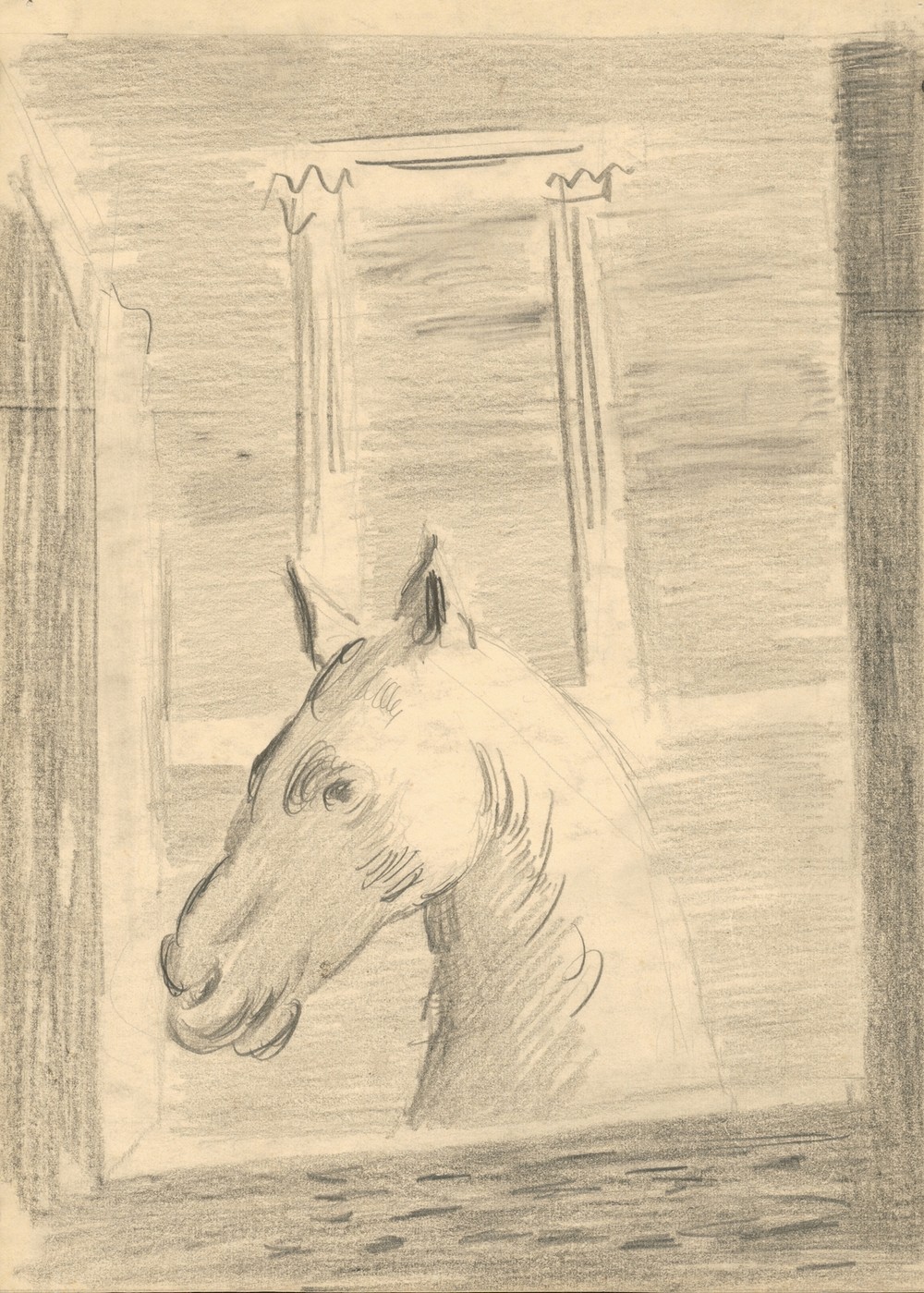 Horse’s Head