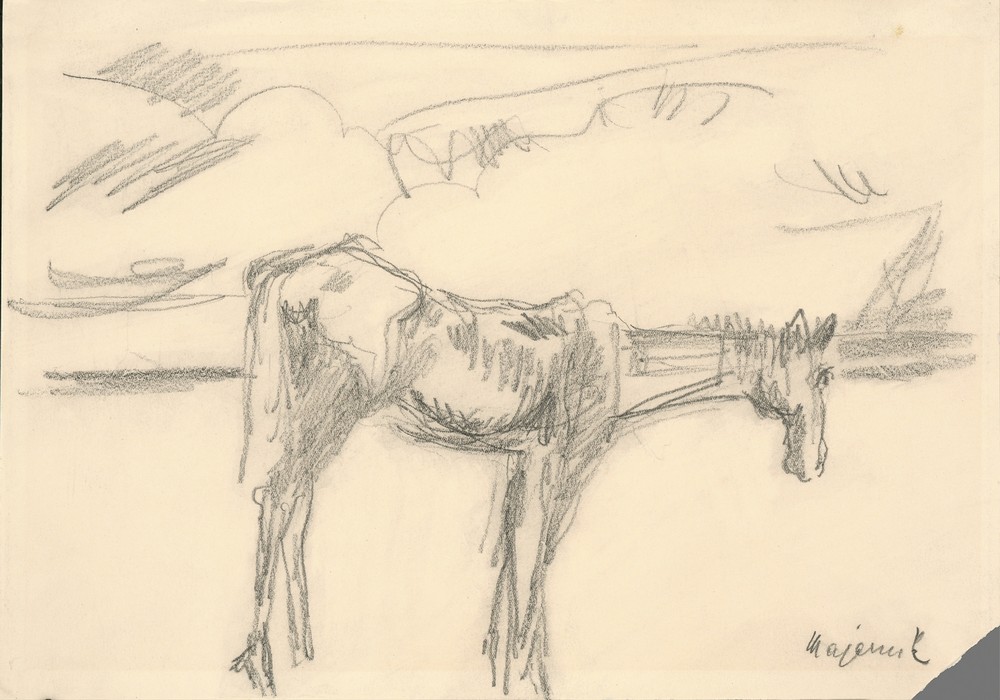 Lonely Horse