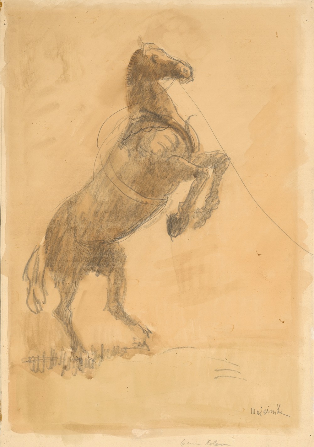 Rearing Horse
