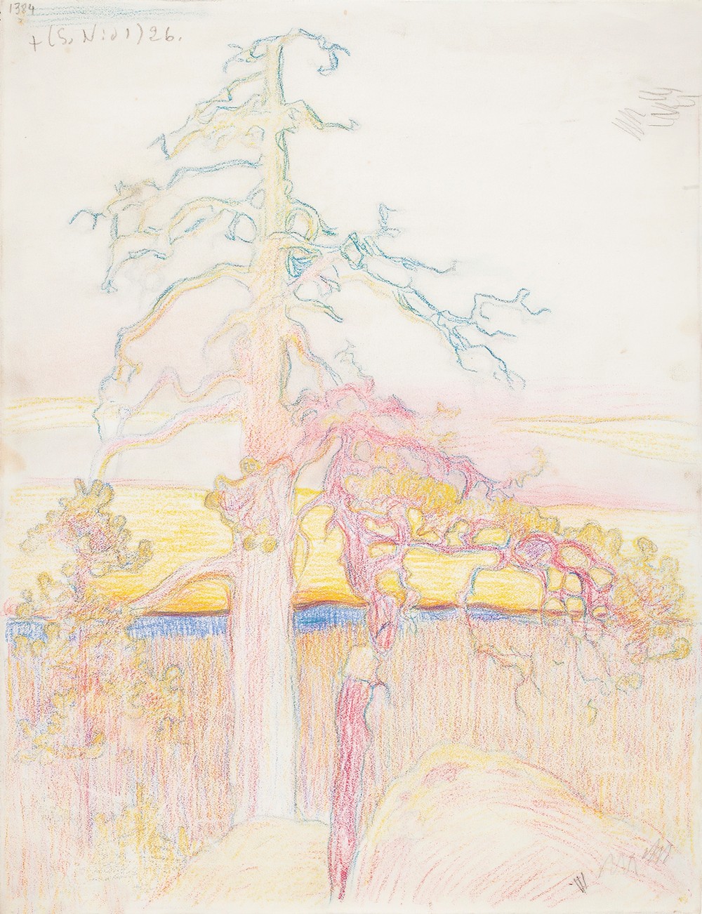 Pine Tree in Wilderness