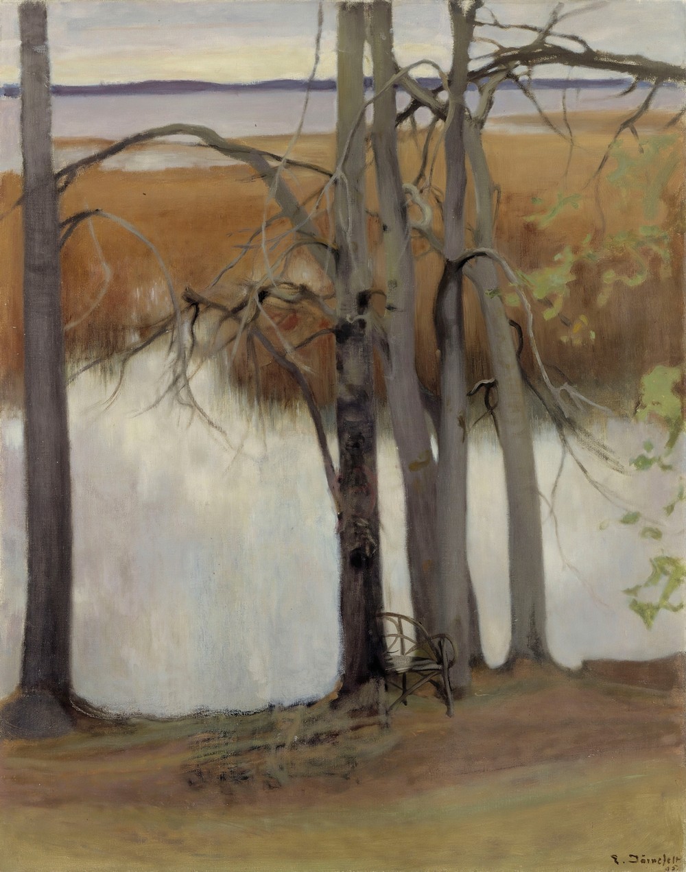 Lake Shore with Reeds