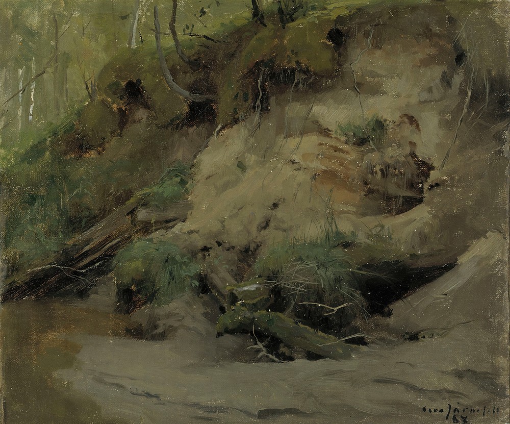 Forest with a Sandy Slope
