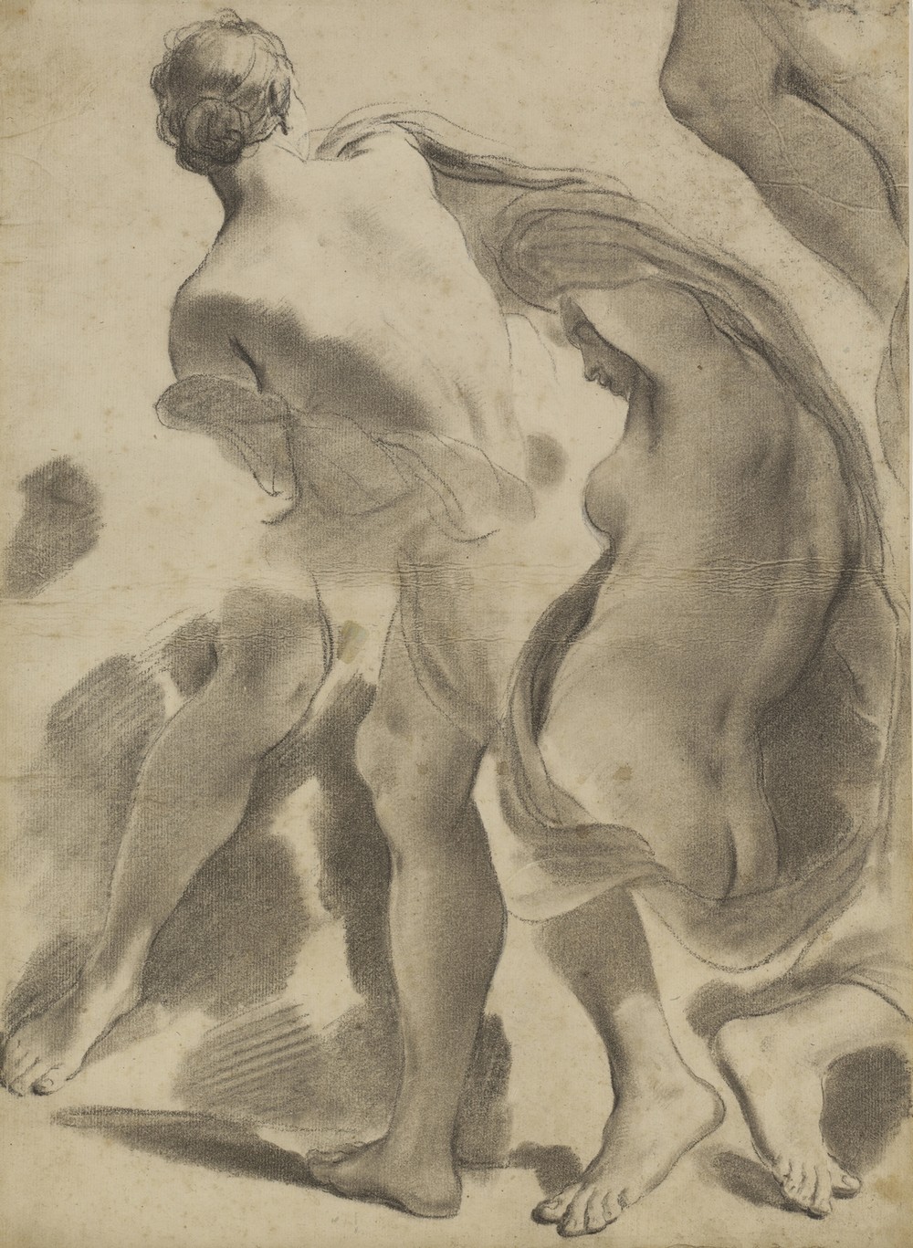 Studies of Female Nudes