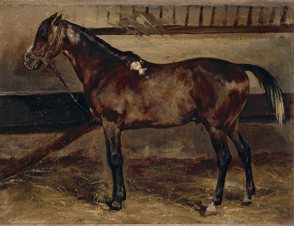 Cheval brun à l’écurie