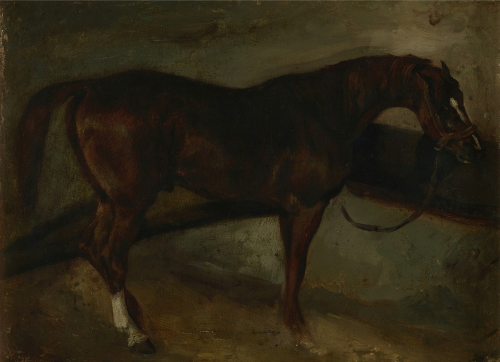 Brown horse
