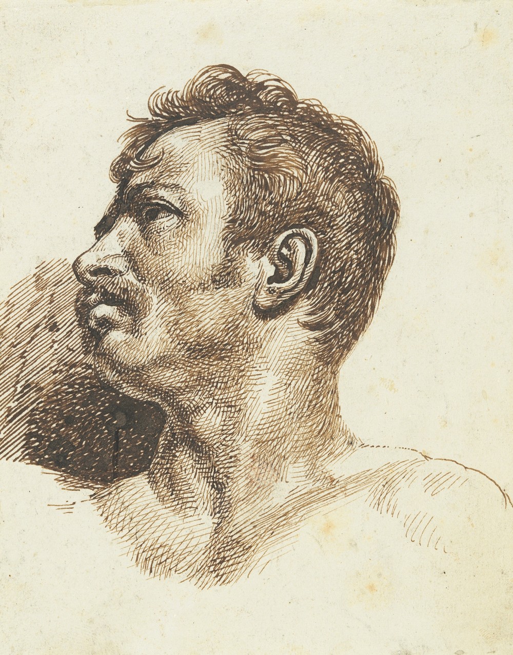 Head of a Man (recto)