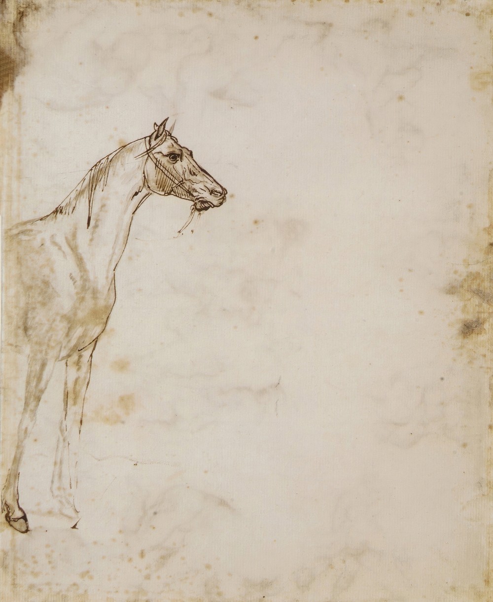 Study of a Horse (ca. 1817–18)