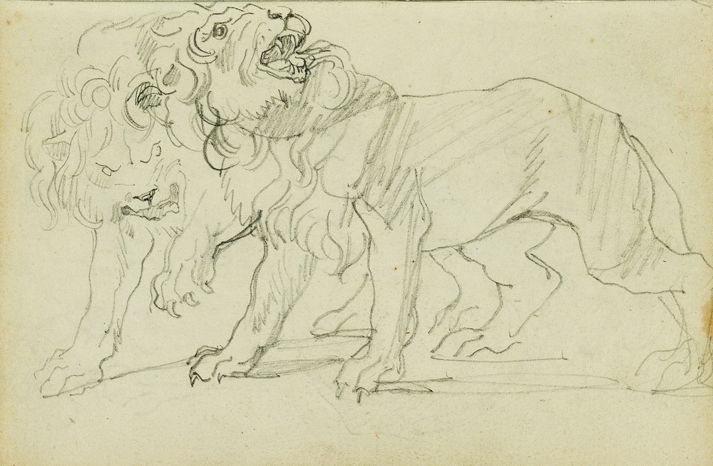 Pair of lions