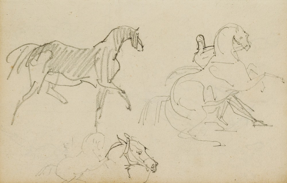 Three horse studies