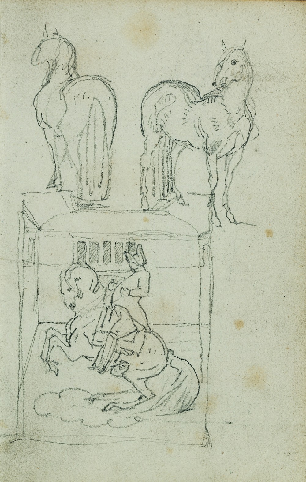 Two standing horses, Man riding a rearing horse