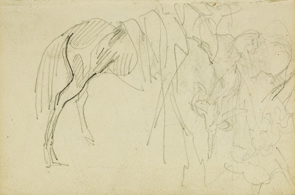 Compositional study, horse studies