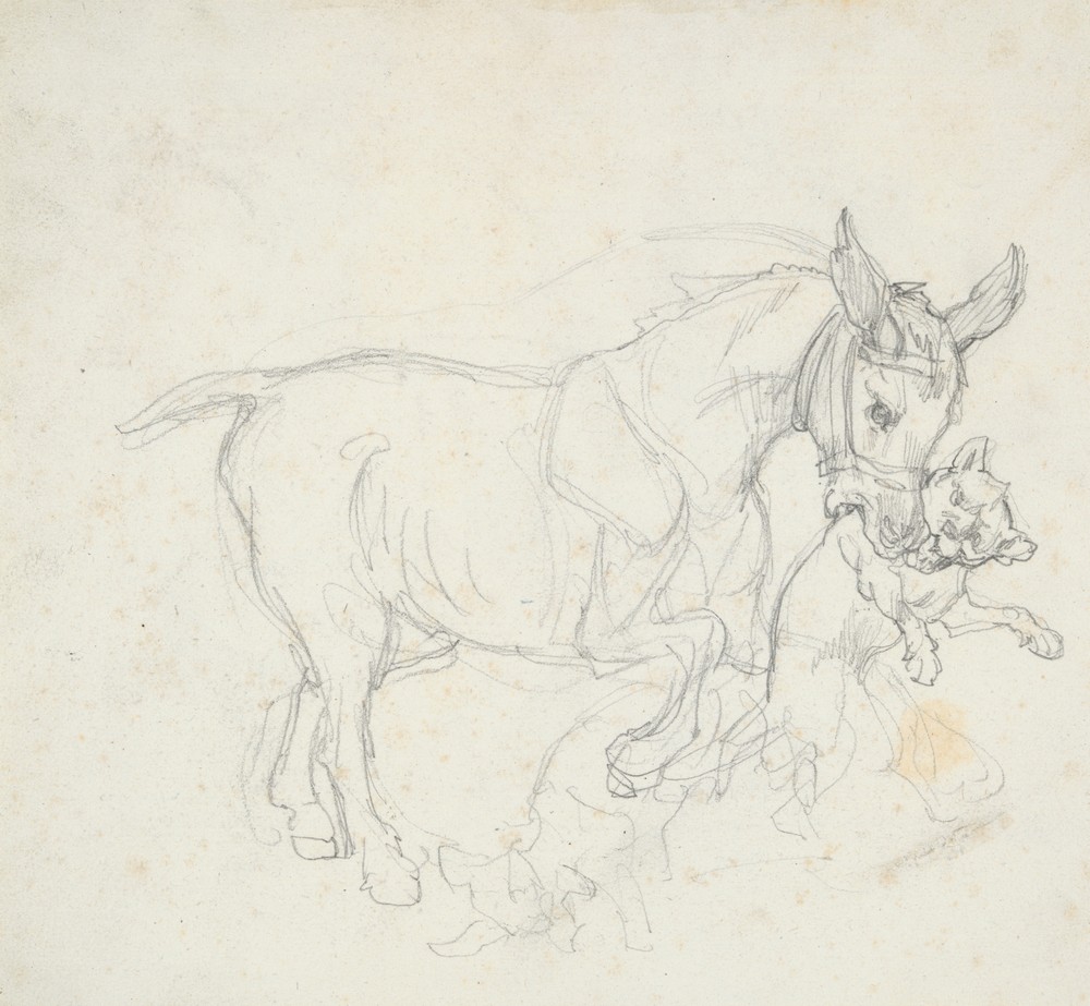Donkey Holding Dog in its Mouth (early 19th century)