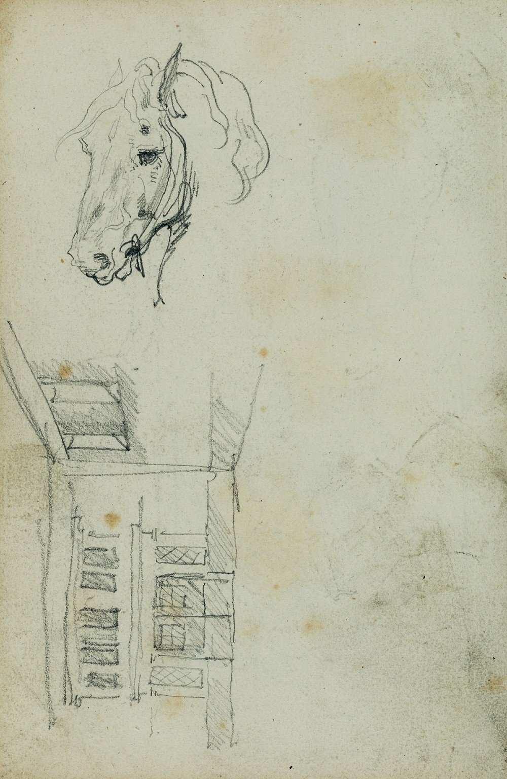 Horse head, view of a courtyard