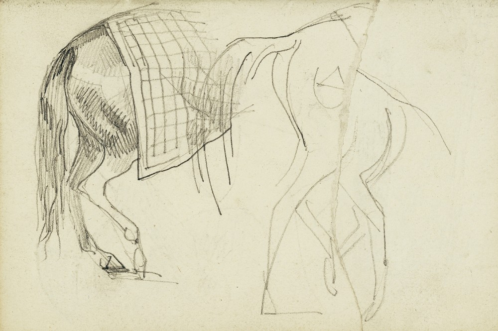 Horse Studies