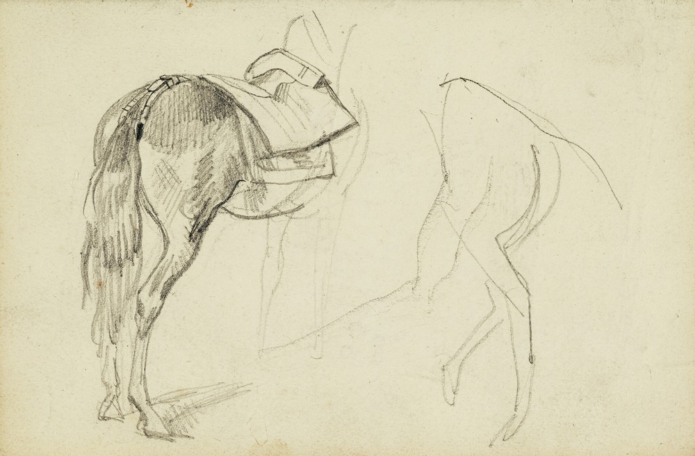 Horse Studies