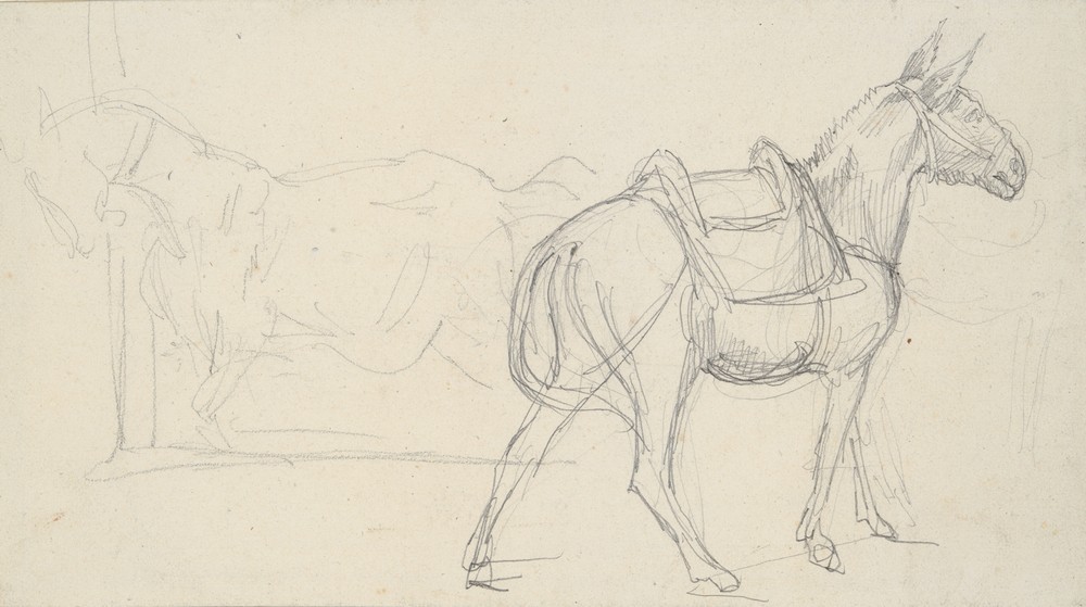 Sketch of a Horse