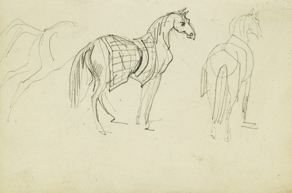 Three horse studies